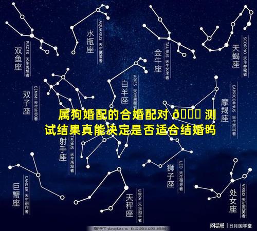 属狗婚配的合婚配对 🐕 测试结果真能决定是否适合结婚吗